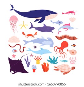 Underwater fish and animals. Cute sea animal, dolphin and jellyfish, octopus and starfish. Cartoon marine life isolated vector characters