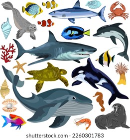 Underwater fish and animals.Vector colored collection of fish and underwater animals.