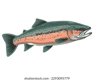 Underwater fish illustration vector over white