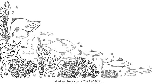 Underwater Fish school line art vector. Hand drawn marine life with sea creatures, coral reef, seaweed and bubbles monochrome. Ocean wildlife black white Illustration. Nautical design, packaging.