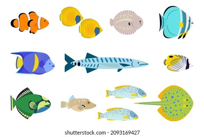 Underwater fish set. Sea life creatures. Vector Isolated colorful elements. Ocean wildlife collection. Differen color sea creatures.