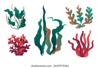 Underwater flora and vegetation, ocean botany and decoration for oceanarium or aquarium. Nature and sealife biodiversity. Gracilaria and Laminaria, Sargassum and Fucus sea plants. Vector in flat style