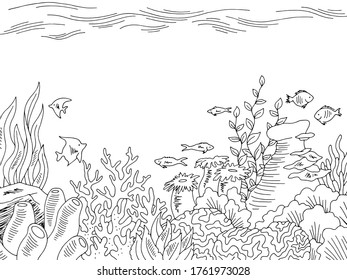 Underwater Graphic Sea Black White Sketch Illustration Vector