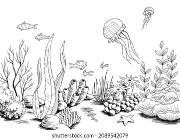 Underwater graphic sea black white sketch illustration vector 