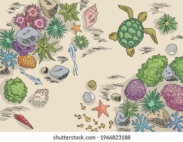 Underwater graphic sea top aerial view color sketch illustration vector 