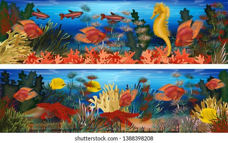 Underwater horizontal banners with seahorse, algae and tropical fish, vector illustration