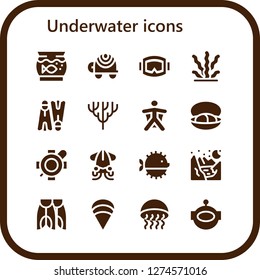  underwater icon set. 16 filled underwater icons. Simple modern icons about  - Aquarium, Turtle, Diving mask, Seaweed, Flippers, Coral, Wingsuit, Mussel, Squid, Puffer fish, Glacier