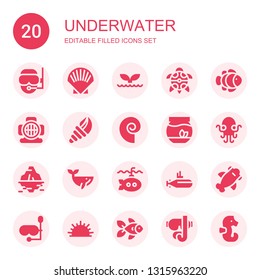 underwater icon set. Collection of 20 filled underwater icons included Diver, Shell, Whale, Turtle, Clown fish, Aqualung, Seashell, Fishbowl, Kraken, Iceberg, Submarine, Shark