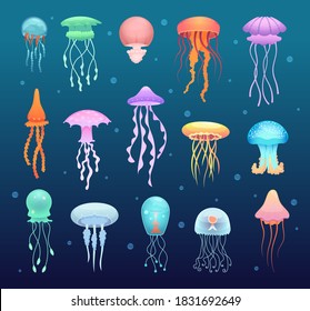 Underwater Jellyfish. Beautiful Magic Water Jelly Swimming Animals Vector Collection