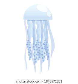 Underwater jellyfish icon. Cartoon of underwater jellyfish vector icon for web design isolated on white background