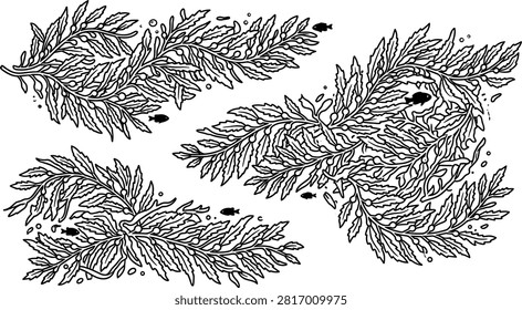 Underwater Kelp Forest Vector Set with Seaweed Fronds Marine Foliage Small Swimming Fish and Water Bubble Symbols for Ocean Biology Science Graphics.eps