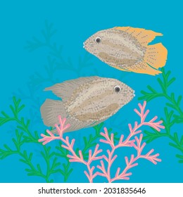 Paisaje submarino: un par de peces, algas.  Gráficos vectoriales