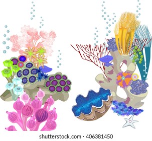 underwater landscape with different corals and tridacna