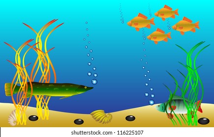 Underwater landscape, fish and seaweed