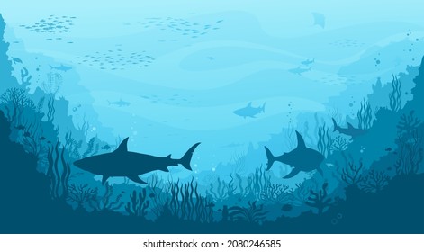 Paisaje submarino con tiburones de cabeza humilde, escuela de manta y peces, siluetas de arrecifes de coral. Flora y fauna marinas profundas, vida marina o fondo vectorial oscuro de los fondos marinos con peces y algas marinas