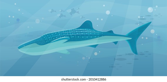 Underwater Landscape With Large Predatory Marine Fish. Whale Swimming In Ocean, Bottom Of Sea. Humpback Whale And Marine Life In Salty Sea Water. Aquatic World, Ocean Floor With Algae And Corals