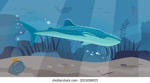 Underwater Landscape With Large Predatory Marine Fish. Whale Swimming In Ocean, Bottom Of Sea. Humpback Whale And Marine Life In Salty Sea Water. Aquatic World, Ocean Floor With Algae And Corals