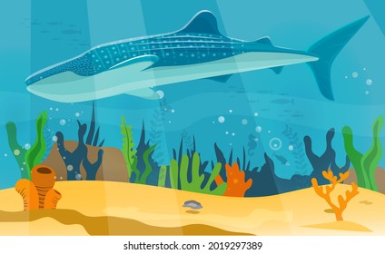 Underwater Landscape With Large Predatory Marine Fish. Whale Swimming In Ocean, Bottom Of Sea. Humpback Whale And Marine Life In Salty Sea Water. Aquatic World, Ocean Floor With Algae And Corals