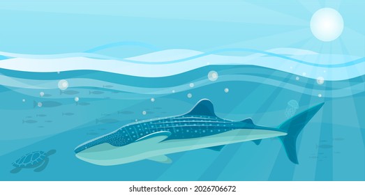 Underwater Landscape With Large Predatory Marine Fish. Whale Swimming In Ocean, Bottom Of Sea. Humpback Whale And Marine Life In Salty Sea Water. Aquatic World, Ocean Floor With Algae And Corals