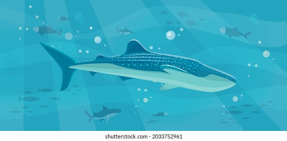 Underwater Landscape With Large Predatory Marine Fish. Whale Swimming In Ocean, Bottom Of Sea. Humpback Whale And Marine Life In Salty Sea Water. Aquatic World, Ocean Floor With Algae And Corals