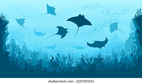 Underwater landscape, manta and fish shoal, corals and seaweeds, vector sea or ocean undersea background. Deep water or underwater landscape with marine blue scene silhouette of manta ray and fishes