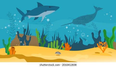 Underwater landscape with sea creatures. Large predatory marine mammals, killer whale and narwhal in ocean. Fish and marine life swimming in salty sea water. Whales and fishes, aquatic world