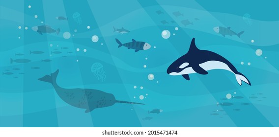 Underwater landscape with sea creatures. Large predatory marine mammals, killer whale and narwhal in ocean. Fish and marine life swimming in salty sea water. Whales and fishes, aquatic world