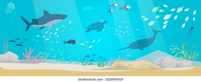 Underwater landscape with sea creatures. Large predatory marine mammals, killer whale and narwhal in ocean. Fish and marine life swimming in salty sea water. Whales and fishes, aquatic world