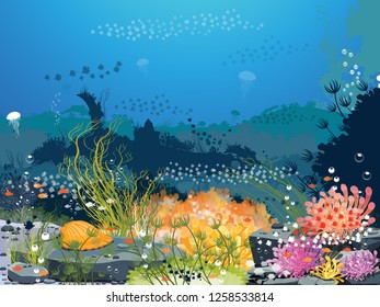 Underwater landscape - the sea and underwater world where many animals live. Coral reefs and water plants For printing, creating video or graphic design, web user interface, poster card - vector