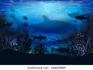 Underwater landscape with shark and tropical fish, vector illustration