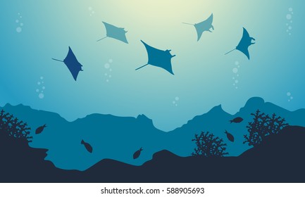 Underwater landscape of stingray and fish