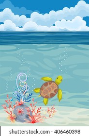 underwater landscape with turtle