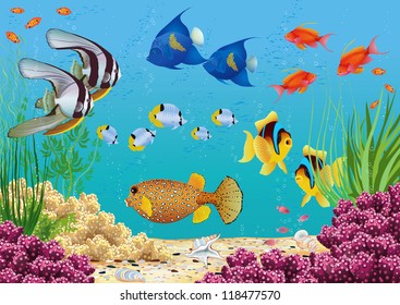 Underwater landscape with various water plants and swimming tropical fish. All objects are grouped.