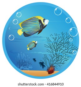 underwater life