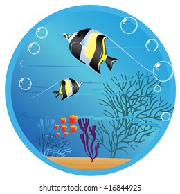 underwater life