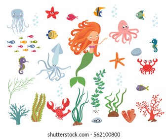 Underwater life collection. Mermaid, sea animals and seaweed on a white background