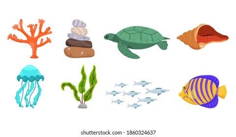 Underwater life collection. Undersea icon set. Turtle, jellyfish, coral, shell, waterweed, butterfly-fish, stones. Editable vector illustration in a flat cartoon style