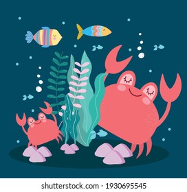 underwater life crabs fishes seaweeds