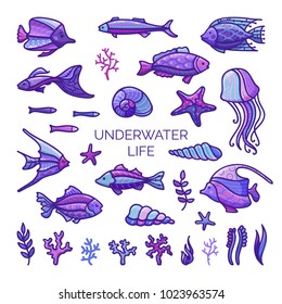Underwater life design elements. Vector set of fish, sea plants and algae, shells and sea stars, jellyfish isolated on white background. Cartoon icons set.