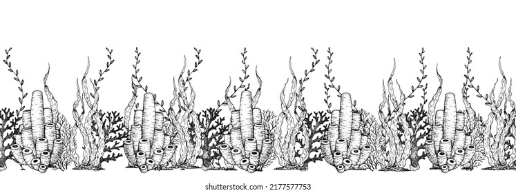Underwater life. Hand drawn sketch. Vector illustration. Seaweed and coral, color illustration. Horizontal seamless pattern. Design template. Underwater world hand drawn.