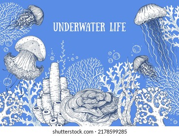 Underwater life. Hand drawn sketch. Vector illustration. Seaweed, jellyfish and coral, engraved illustration. Design template. Underwater world hand drawn.