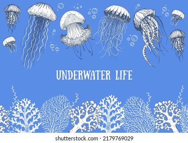 Underwater life. Hand drawn sketch. Vector illustration. Seaweed, jellyfish and coral, engraved illustration. Design template. Underwater world hand drawn.