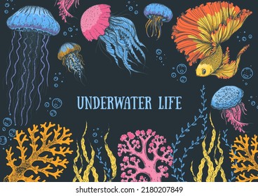 Underwater life. Hand drawn vector illustration. Seaweed, goldfish, jellyfish and coral, color illustration. Design template. Underwater world hand drawn.