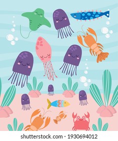 underwater life jellyfish octopus lobster