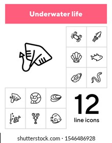 Underwater life line icon set. Fish, crab, eel. Nature concept. Can be used for topics like fishing, seafood, marine biology