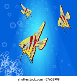 Underwater life, sea. Fish, seaweeds, rays, bubbles. Vector illustration