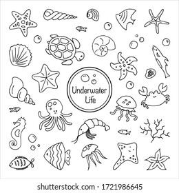 Underwater Life set Sea species doodle hand drawn vector characters 