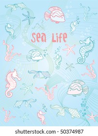   Underwater life, turtle, fish, seaweed