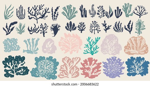 Underwater Marine Flora Set Of Seaweeds, Planting, Marine Algae And Ocean Corals Silhouettes. Vector Seaweed Cartoon Sketch Aquarium Decor