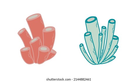 Underwater marine life - sea anemons. Vector colorful illustration.